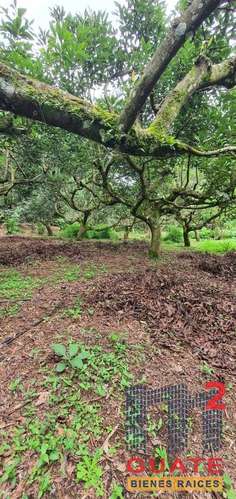 Terreno en Venta, Santa Catarina Pinula - Imagen 8