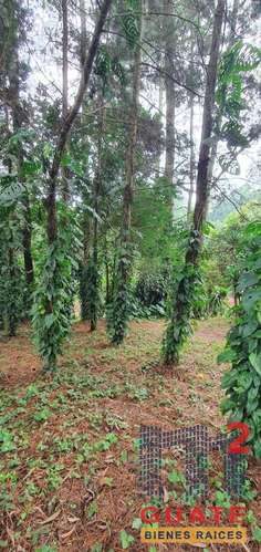 Terreno en Venta, Santa Catarina Pinula - Imagen 12