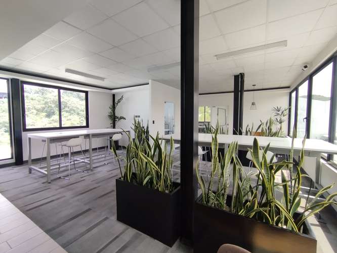 Oficina en Renta – InterNaranjo Empresarial, cerca de Condado Naranjo - Imagen 12