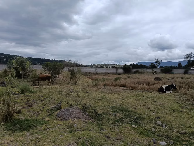 Terreno amplio en Xela 2,596 m2 - Imagen 6