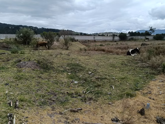 Terreno amplio en Xela 2,596 m2 - Imagen 7
