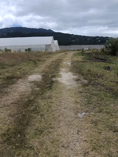 Terreno amplio en Xela 2,596 m2 - Imagen 8