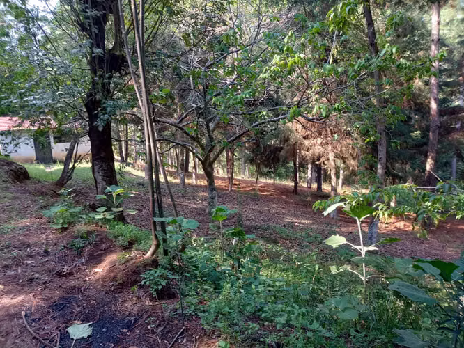 Terreno en Santa María Cauqué, Santiago Sacatepéquez