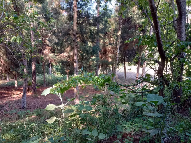Terreno en Santa María Cauqué, Santiago Sacatepéquez