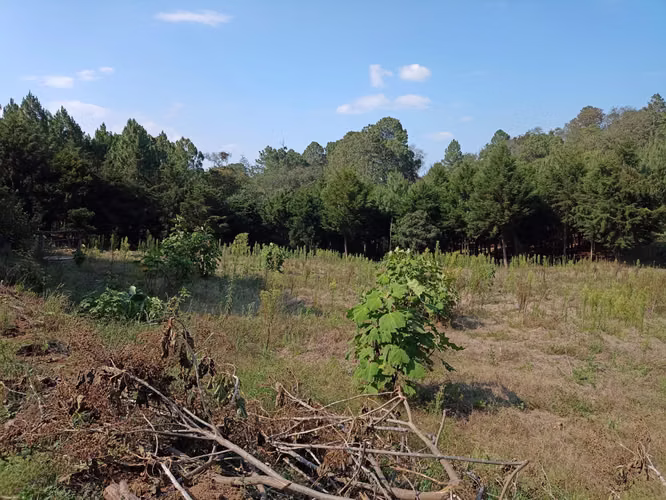 Terreno en Santa María Cauqué, Santiago Sacatepéquez