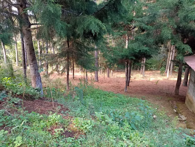 Terreno en Santa María Cauqué, Santiago Sacatepéquez