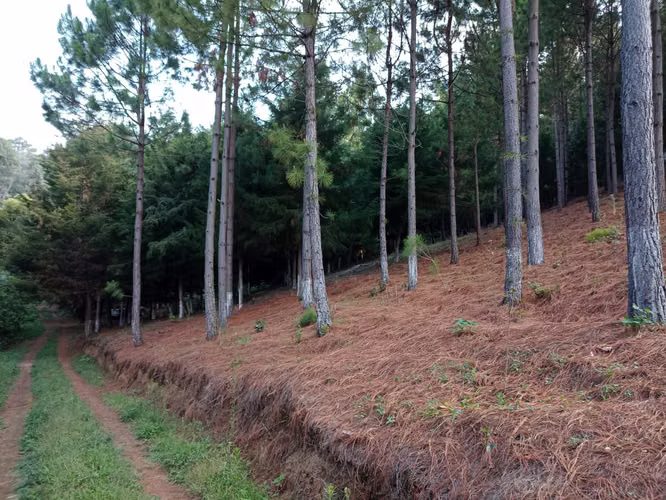 Terreno en Santa María Cauqué, Santiago Sacatepéquez