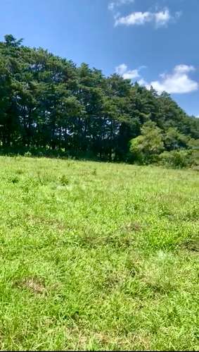 VENDO HERMOSO Y AMPLIO TERRENO EN CARR A MATAQUESCUINTLA, SAN JOSÉ PINULA - Imagen 2