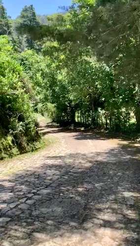 VENDO HERMOSO Y AMPLIO TERRENO EN CARR A MATAQUESCUINTLA, SAN JOSÉ PINULA - Imagen 6