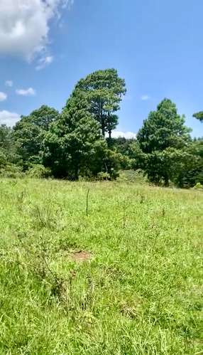 VENDO HERMOSO Y AMPLIO TERRENO EN CARR A MATAQUESCUINTLA, SAN JOSÉ PINULA - Imagen 3