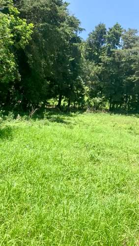 VENDO HERMOSO Y AMPLIO TERRENO EN CARR A MATAQUESCUINTLA, SAN JOSÉ PINULA - Imagen 4