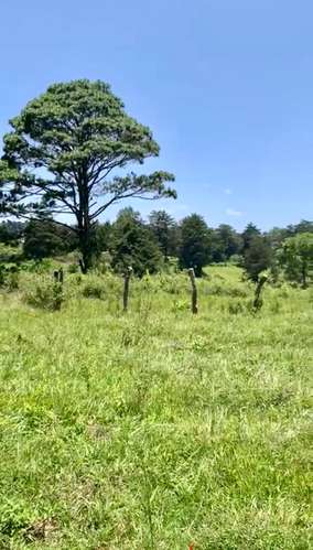 VENDO HERMOSO Y AMPLIO TERRENO EN CARR A MATAQUESCUINTLA, SAN JOSÉ PINULA