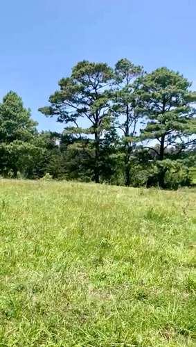 VENDO HERMOSO Y AMPLIO TERRENO EN CARR A MATAQUESCUINTLA, SAN JOSÉ PINULA - Imagen 5