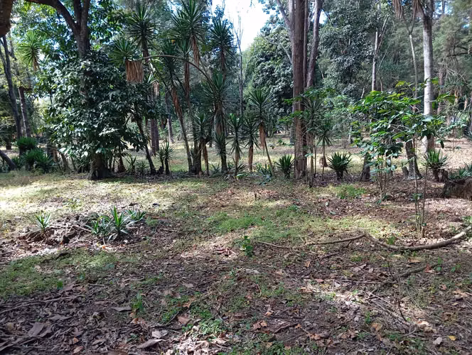 Terreno 25,000 Vrs km 18 sobre CA9-SUR 