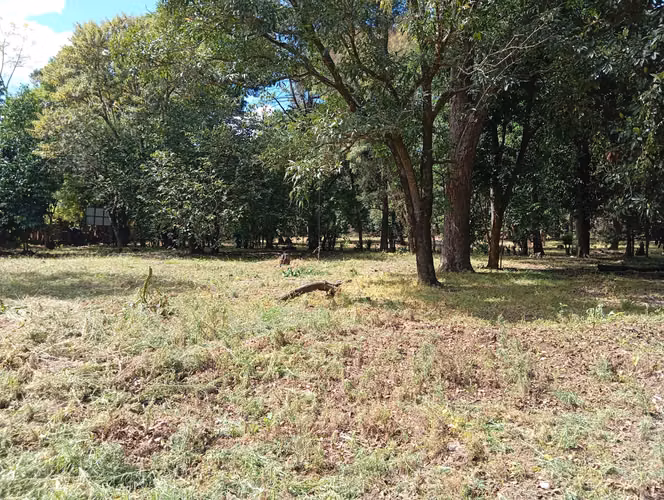 Terreno 25,000 Vrs km 18 sobre CA9-SUR 