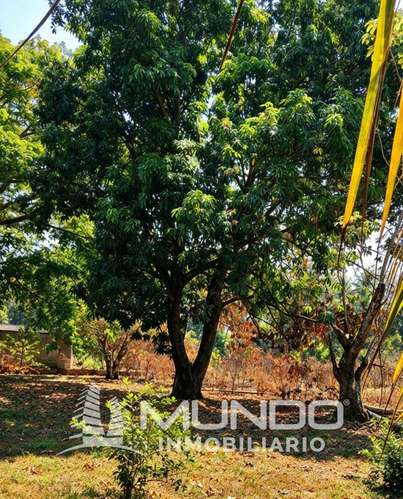 TERRENOS EN VENTA EN ALDEA OBERO, MASAGUA, ESCUINTLA