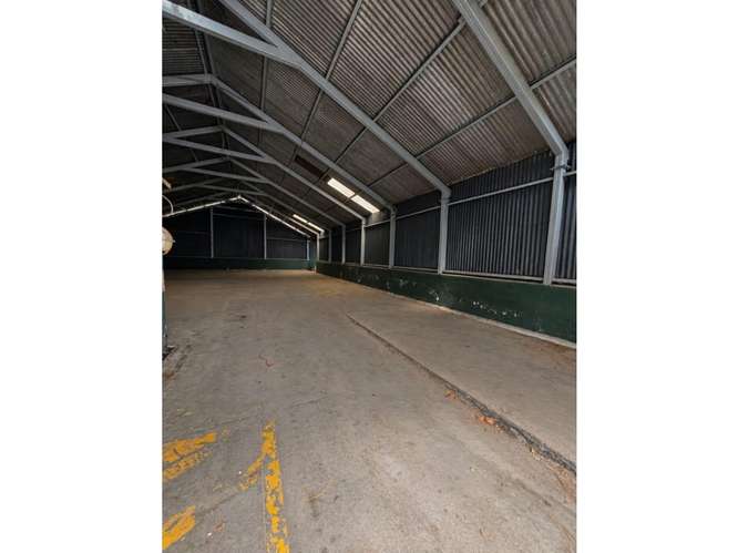  BODEGA EN RENTA – 1,075 M²  | KM 19.5 LO DE COY | ZONA 01 DE MIXCO - Imagen 3
