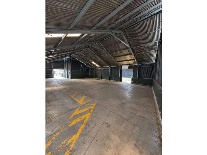  BODEGA EN RENTA – 1,075 M²  | KM 19.5 LO DE COY | ZONA 01 DE MIXCO - Imagen 5