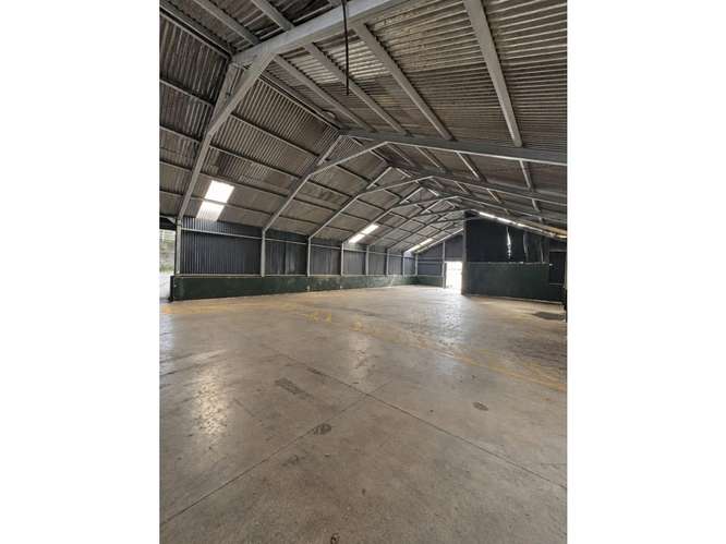  BODEGA EN RENTA – 1,075 M²  | KM 19.5 LO DE COY | ZONA 01 DE MIXCO - Imagen 8