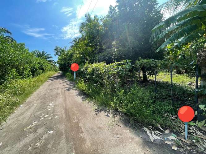  ¡TERRENO EN VENTA EN RAMA BLANCA, SIPACATE, ESCUINTLA!  
