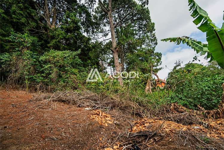 Terreno en Km 16 Carretera a El Salvador - Imagen 2