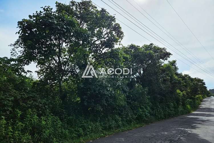 Terreno en Carretera a El Salvador, Santa Catarina Pinula - Imagen 2