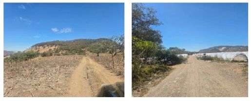 Venta de Finca de 98 Manzanas en San Vicente Las Hormigas Km.21.20 Carretera a Palencia