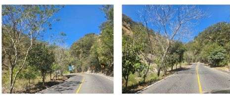 Venta de Finca de 98 Manzanas en San Vicente Las Hormigas Km.21.20 Carretera a Palencia