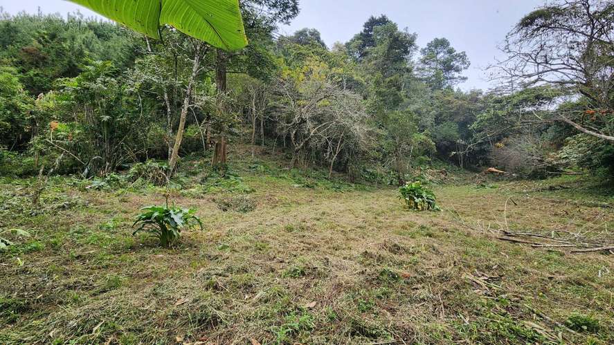 Terreno en sector Piedra Parada, Santa Catarina Pinula - Imagen 2