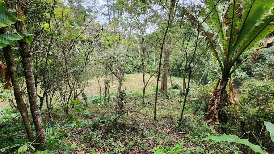 Terreno en sector Piedra Parada, Santa Catarina Pinula - Imagen 4