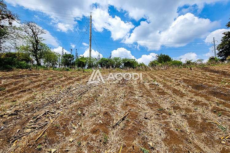 Terreno en Km 17 Carretera a El Salvador - Imagen 3