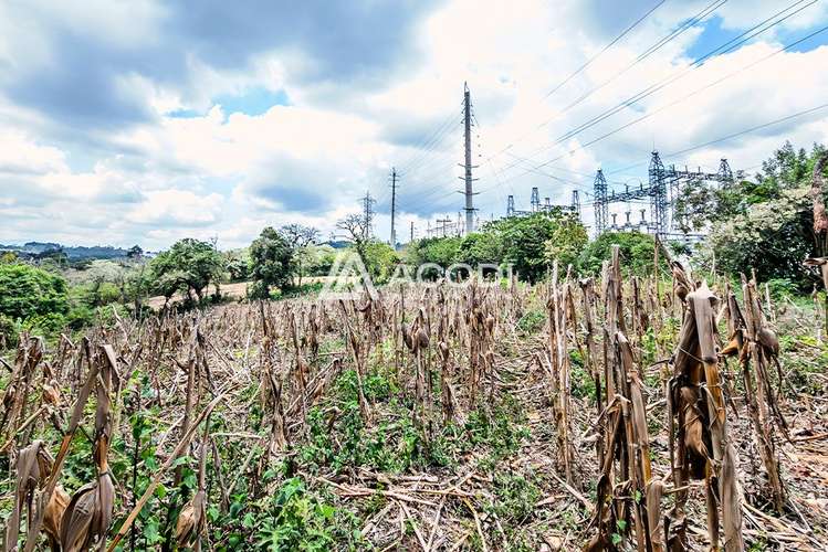 Terreno en Km 17 Carretera a El Salvador - Imagen 4