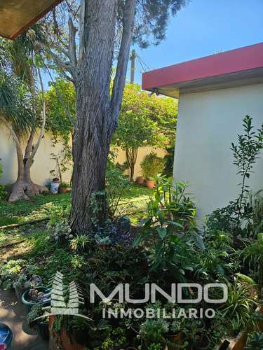 CASA CON TERRENO AMPLIO EN VENTA LAS CHARCAS ZONA 11 - Imagen 2