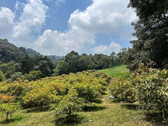 Terreno en Santiago Sacatepéquez - Imagen 2