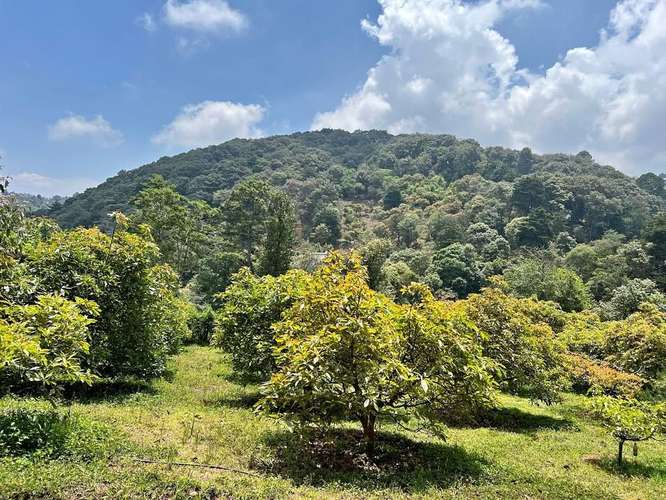 Terreno en Santiago Sacatepéquez - Imagen 1