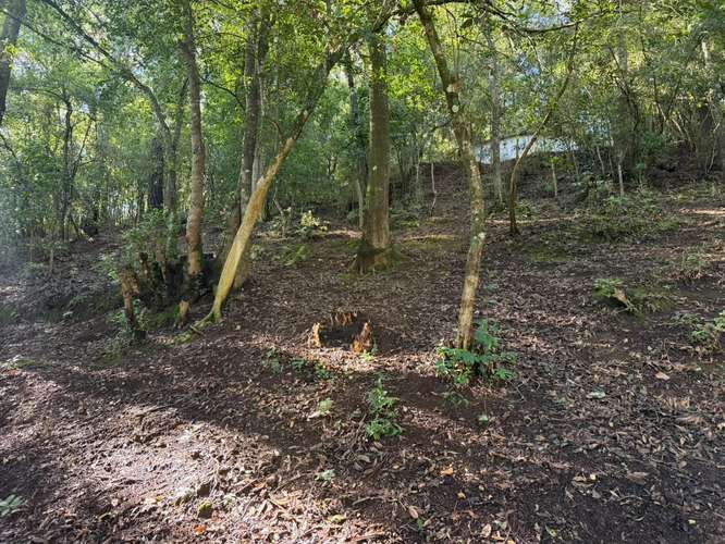  ¡Terreno rodeado de naturaleza en Choacorral! 