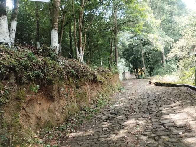  ¡Terreno rodeado de naturaleza en Choacorral! 