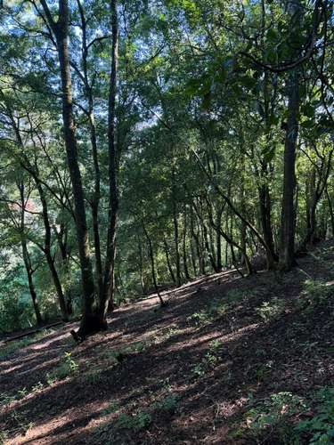  ¡Terreno rodeado de naturaleza en Choacorral! 