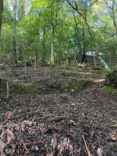  ¡Terreno rodeado de naturaleza en Choacorral! 