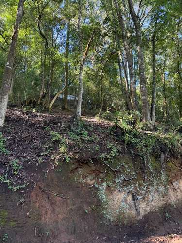  ¡Terreno rodeado de naturaleza en Choacorral! 