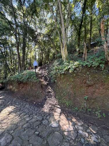 ¡Terreno rodeado de naturaleza en Choacorral! 