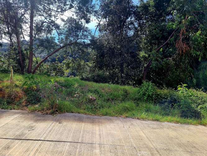 VENDO TERRENO EN SAN LUCAS FOREST, SAN LUCAS SACATEPEQUEZ  - Imagen 5