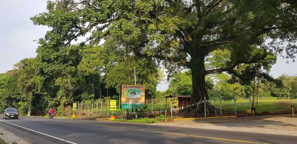 Terreno ubicado en kilómetro 53.5 carretera palin escuintla 