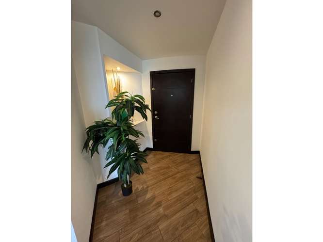  APARTAMENTO EN RENTA  AMUEBLADO– 2 HAB | CASTALIA | VHII, ZONA 15 - Imagen 11