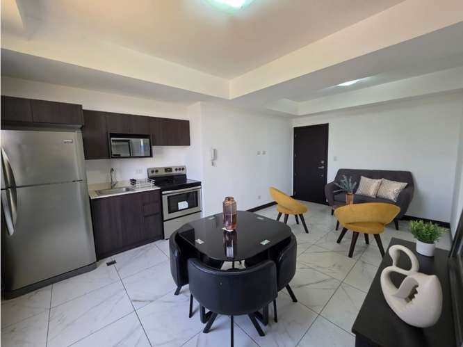 Apartamento Amueblado en Renta Zona 15