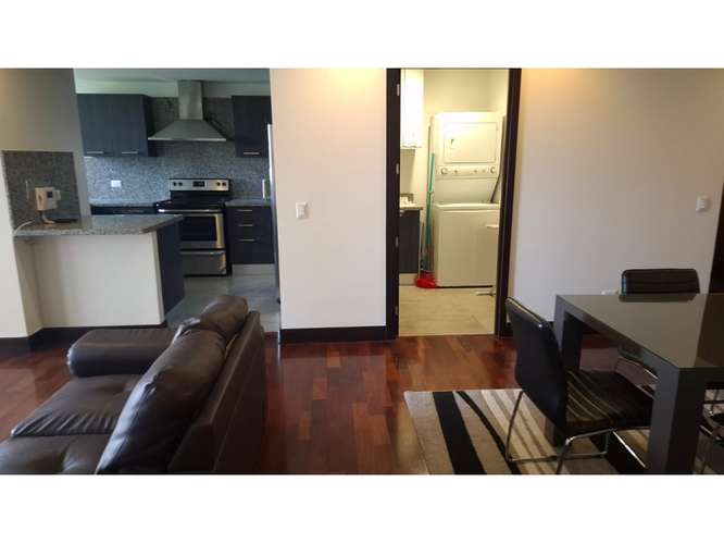 APARTAMENTO AMUEBLADO EN RENTA - ZONA 10 - Imagen 3