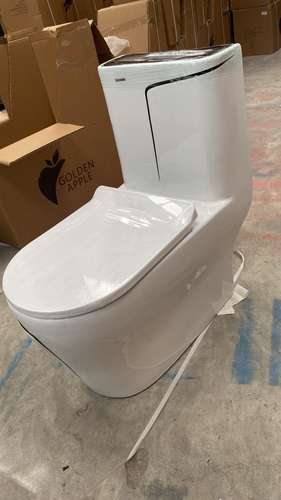 Inodoro de porcelana blanco con linea negra
