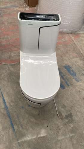 Inodoro de porcelana blanco con linea negra