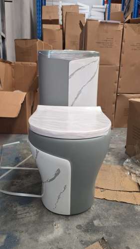INODORO DE PORCELANA DE UNA PIEZA GRIS CON BLANCO