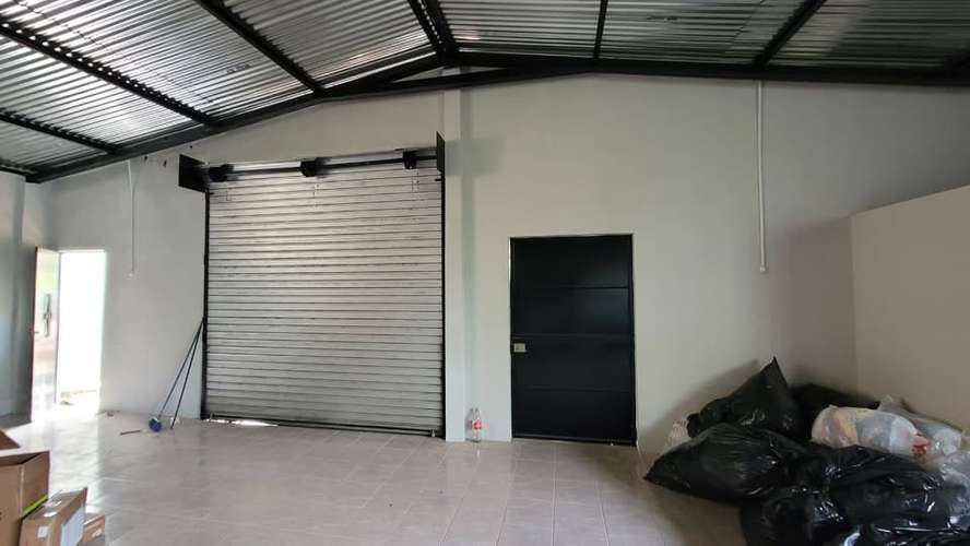Doy Bodega en alquiler.  - Imagen 5